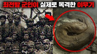 실제로 목격된 이무기에 대한 기록과 증거들 [괴담]