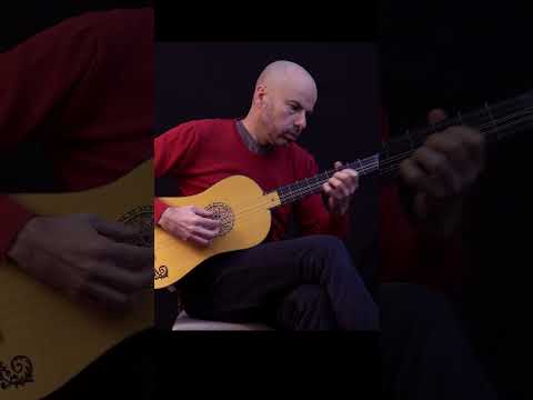 The Maids of Mourne Shore/The Sally Gardens #baroqueguitar  #shorts #guitar