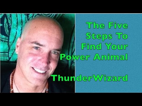 Five Steps to Find Your Power Animal - Spirit Animal -  Shamanism