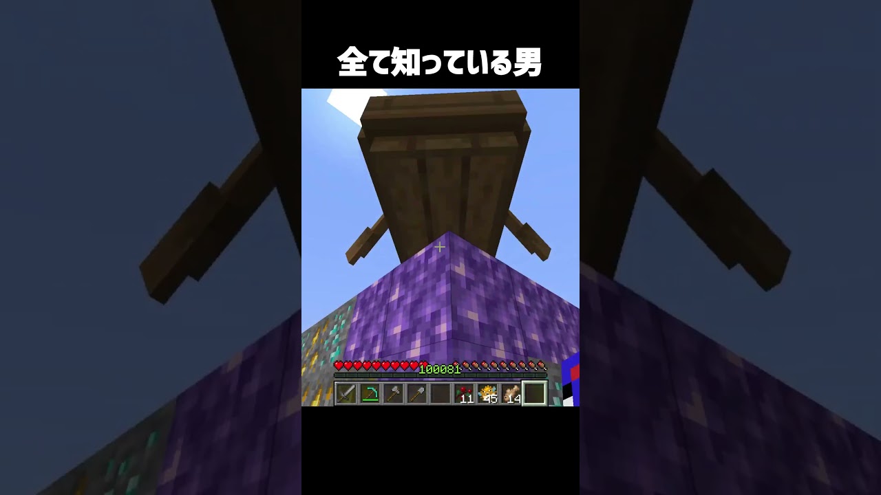 真理を知った男 #minecraft