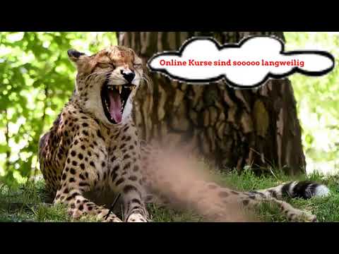 Online Kurse interessant gestalten - Methodik und Didaktik