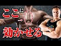 【筋トレ】なかなか効かせにくい!大胸筋を大きく見せるために内側に効かせる秘訣をお伝えします