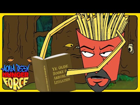 Frylock Saves the Day | Aqua Teen Hunger Force