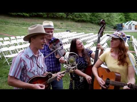 Foghorn Stringband - Let Me Fall (live with Ear Trumpet Labs)