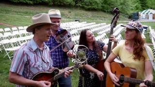 Foghorn Stringband - Let Me Fall (live with Ear Trumpet Labs)
