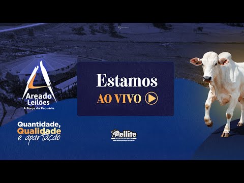 AREADO LEILÕES - AREADO MG   17/09/2025