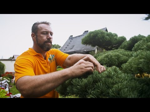 Moderner Gartenbau mit Leidenschaft, Individualität und Kreativität – das ist die Gärtnerei und Baumschule Irrling.