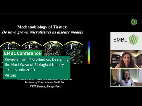 Keynote Lecture: Mechanobiology of Tissues: de novo grown microtissues as disease models
