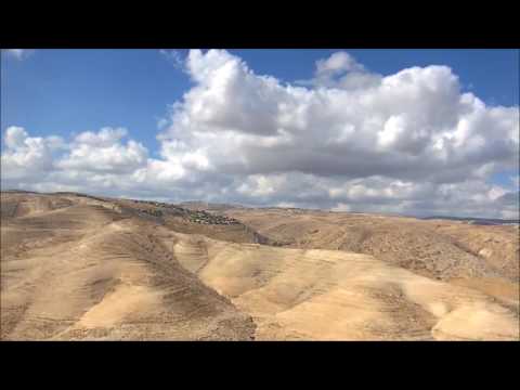 Funkamel -  Organic House mix