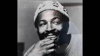 Feel All My Love Inside - Marvin Gaye - 1976