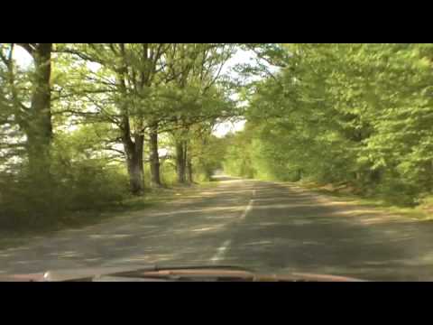 Drum SEBIS Prunisor ROMANIA 15apr2009