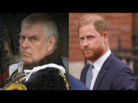 Prince Harry ‘frustrated’ at being compared to disgraced Andrew