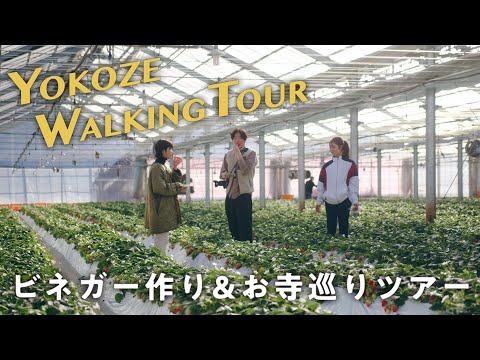 ビネガー作り&お寺巡りツアー