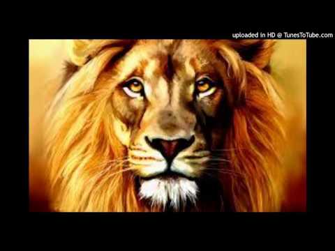 Δ.Ι.Α - Να σαι λιοντάρι