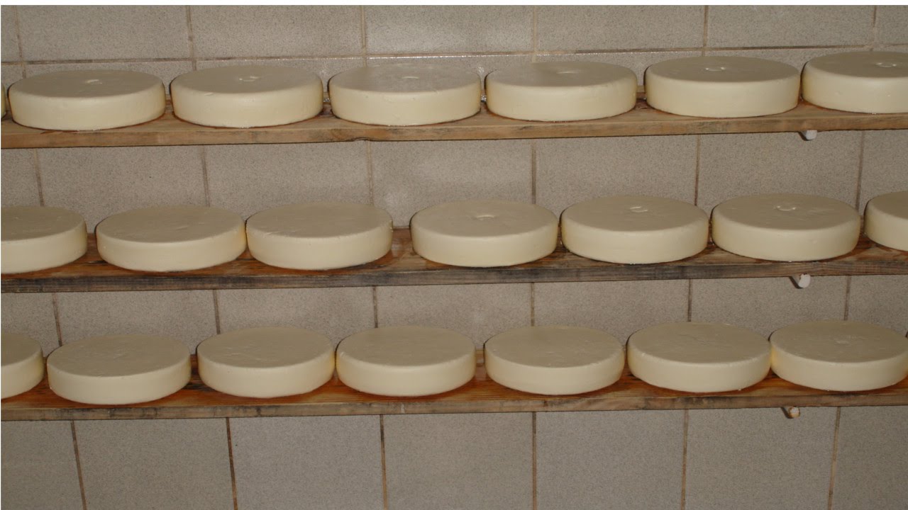 Curso Produção de Queijos Finos e Mofados - Maturação e Embalagem - Cursos CPT