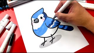 かわいいブルージェイの描き方