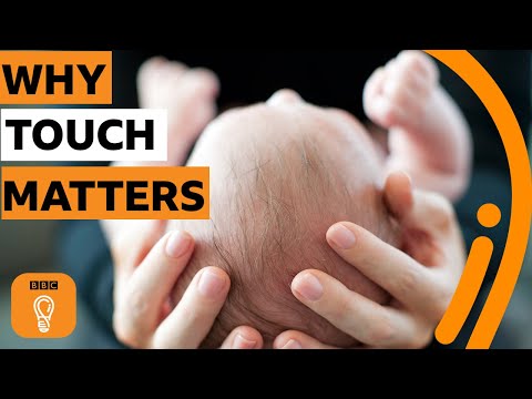 當我們不能觸摸時，人類會發生什麼？| 英國廣播公司創意 (What happens to humans when we can't touch? | BBC Ideas)