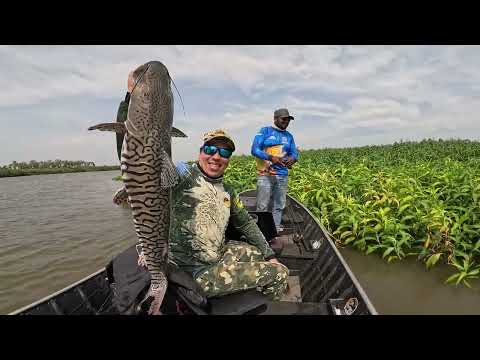 O MELHOR LUGAR PARA PESCAR NO RIO MIRANDA PANTANAL !!!
