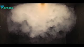 Prihoda - Smoke Test