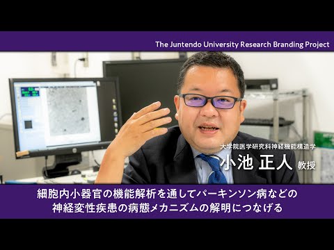 医学科 細胞内小器官の機能解析を通してパーキンソン病などの神経変性疾患の病態メカニズムの解明につなげる 【Juntendo Research】