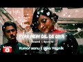 Pyar Mein Dil De Diya Slow Reverb Kumar Sanu Alka Yagnik Lofi Song