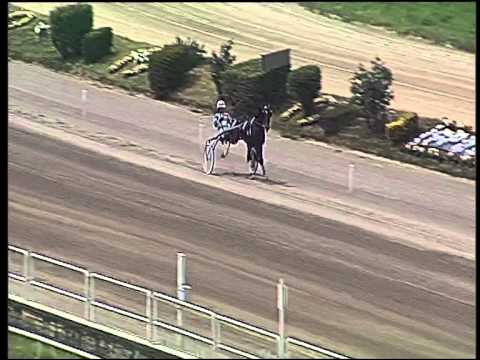 trotto 24/05/2015 - prova di qualifica