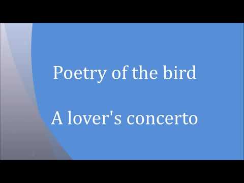 A Lover's Concerto - Poetry of the bird