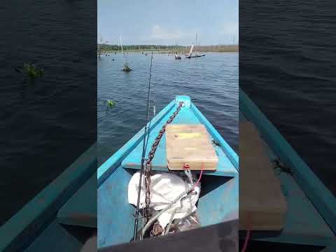 Ilha dos botes, rio Tocantins divisa entre Carolina ma e Filadélfia to