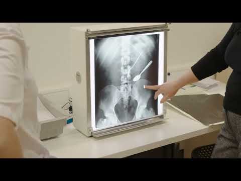 Lessen van Lieke | Teaser aflevering 2, seizoen 2 | mboRijnland