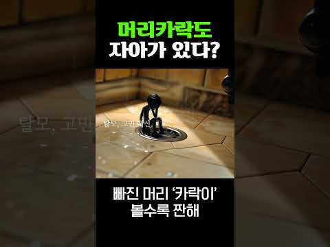 머리 '카락이' 자아가 있다면? ????
