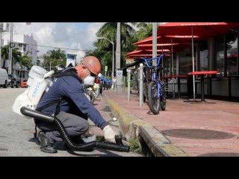 Fears mount as tropical storm could spread Zika virus