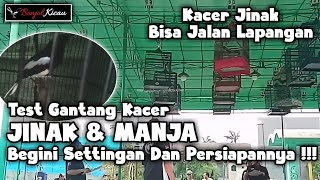 Download lagu Praktek Lapangan !!! Kacer Jinak Total Manja Semi Cetrekan Bisa Di Ikut Lombakan - Ini Settingannya! mp3 Download lagu Praktek Lapangan !!! Kacer Jinak Total Manja Semi Cetrekan Bisa Di Ikut Lombakan - Ini Settingannya! mp3