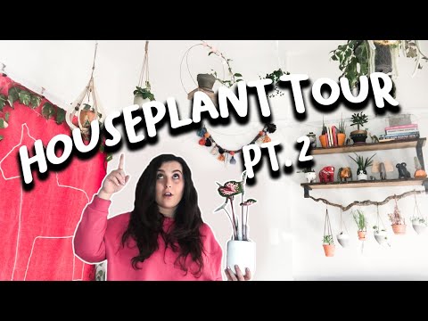 HOUSEPLANT TOUR PART 2 | Spring 2020 | One bedroom apartment in London