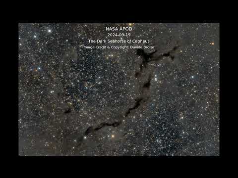 The Dark Seahorse Nebula: Secrets of Star Birth in Cepheus #nasa #space #nightsky