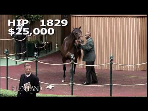 POLAR RIVER - Keeneland September 2014