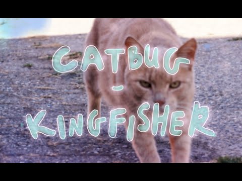 Catbug - Kingfisher