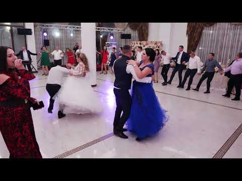 BumBumStudio - Foaie Verde Busuioc