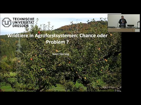 Wildtiere in Agroforstsystemen