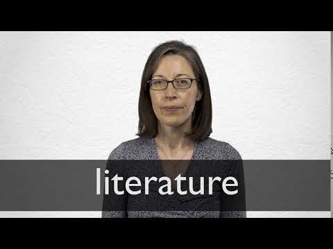 define your literature Youtube video