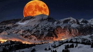 Disregarding My Etiquette from Through the Silent Caldera