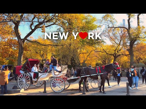 [4K]🇺🇸NYC Walk: Central Park🍁🍂 Beautiful Fall Foliage & Autumn Vibes / Oct. 29 2022