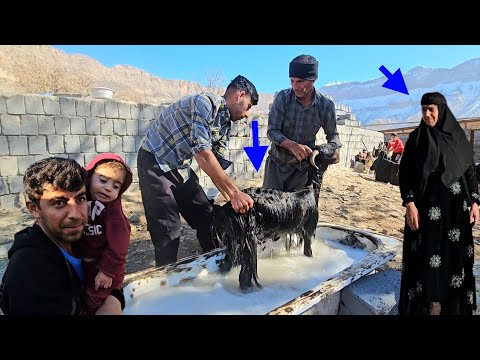 Nomadic Family’s Crazy Day: Oil, BBQ & Sheep Care! 🐑🔥🏕️