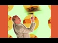 The Dr Bob Show Intro