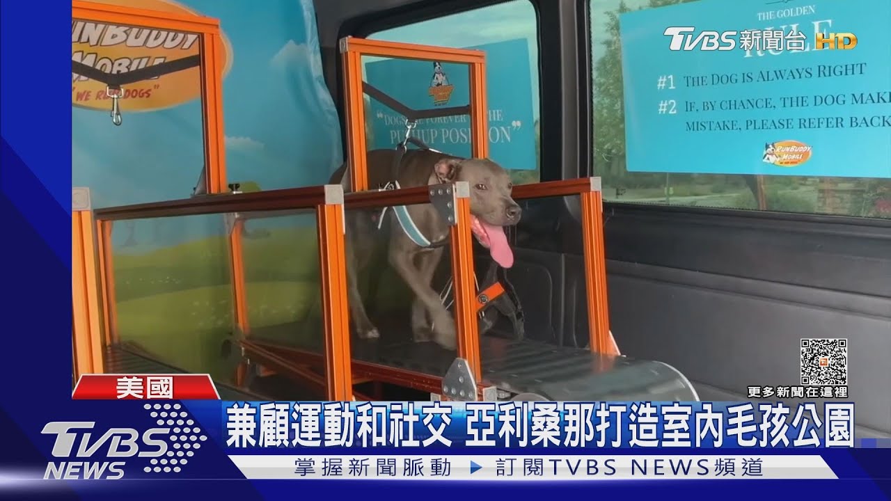 美業者大推寵物健身房 有30分鐘訂製課程外加冷氣吹!