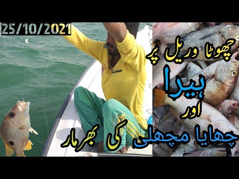 Fishing with Abdul Hakeem| |Snapper Fish| |Charna fishing| #adventureworld