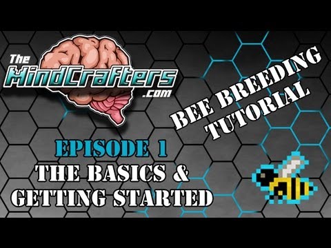 Bee Breeding Tutorial - Episode 1: The Basics & Getting Started