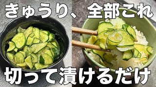【きゅうりの簡単レシピ】切って漬けるだけ！箸が止まらない絶品塩だれきゅうり