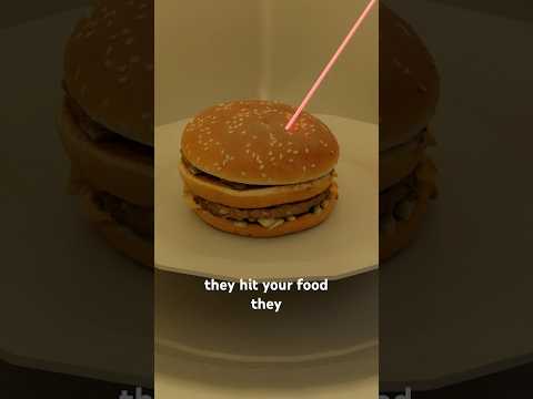 How Do Microwaves Actually Work?