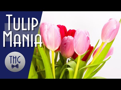 When a tulip bulb cost as much as a house: The Tulip Mania of 1637
