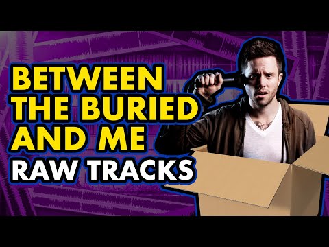 BETWEEN THE BURIED AND ME "Millions" RAW TRACKS - Unboxing